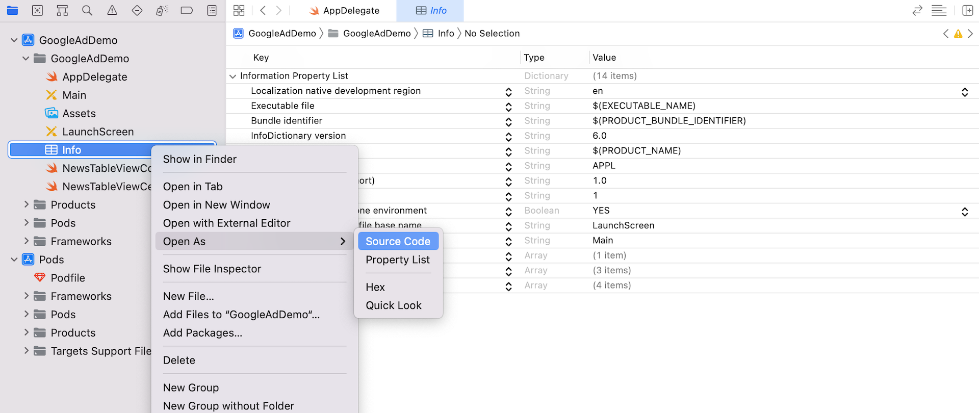 Figure 15.6. Configuring the Info.plist file