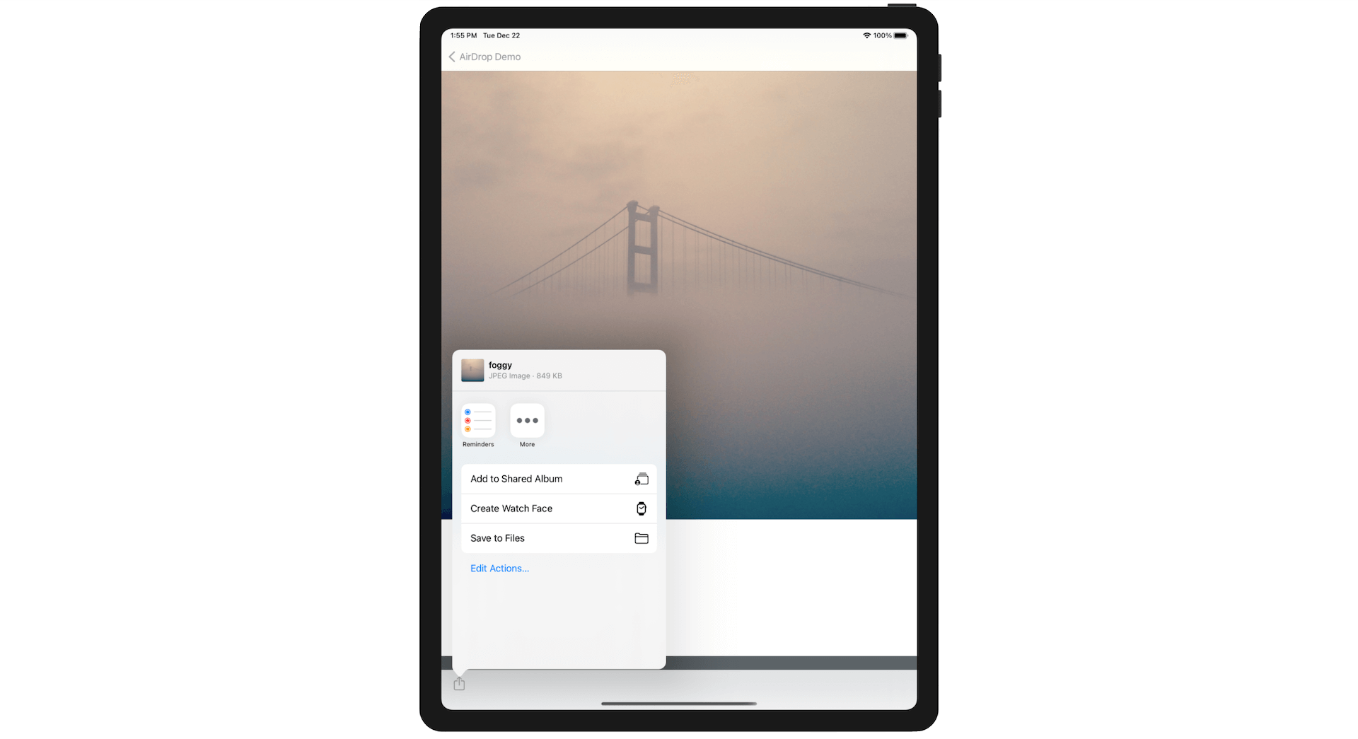 Figure 17.7. Share action on iPad