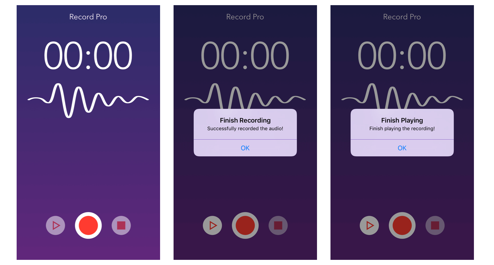Figure 10.4. RecordPro Demo App
