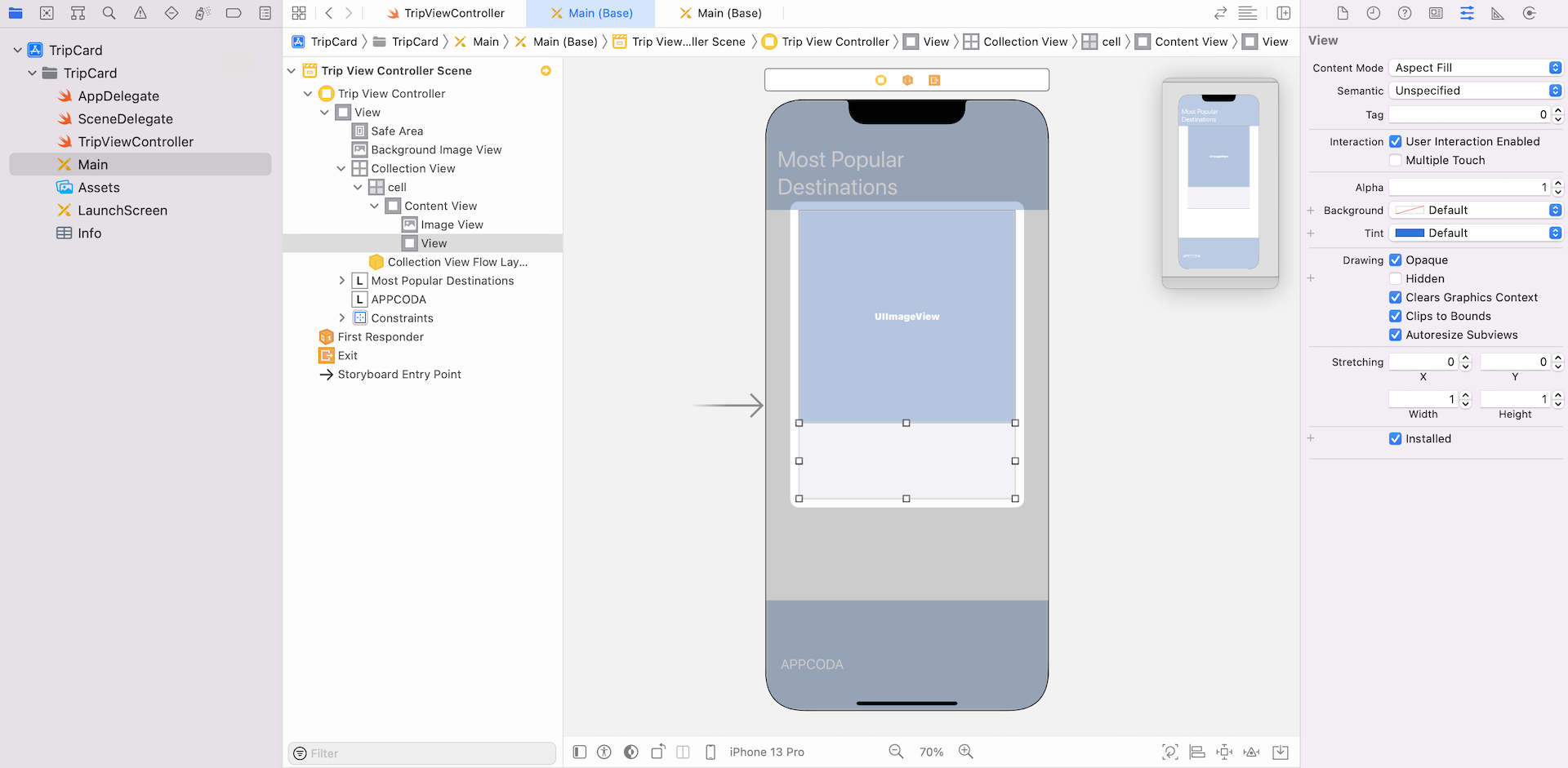 Figure 29.8. The design of the collection view cell