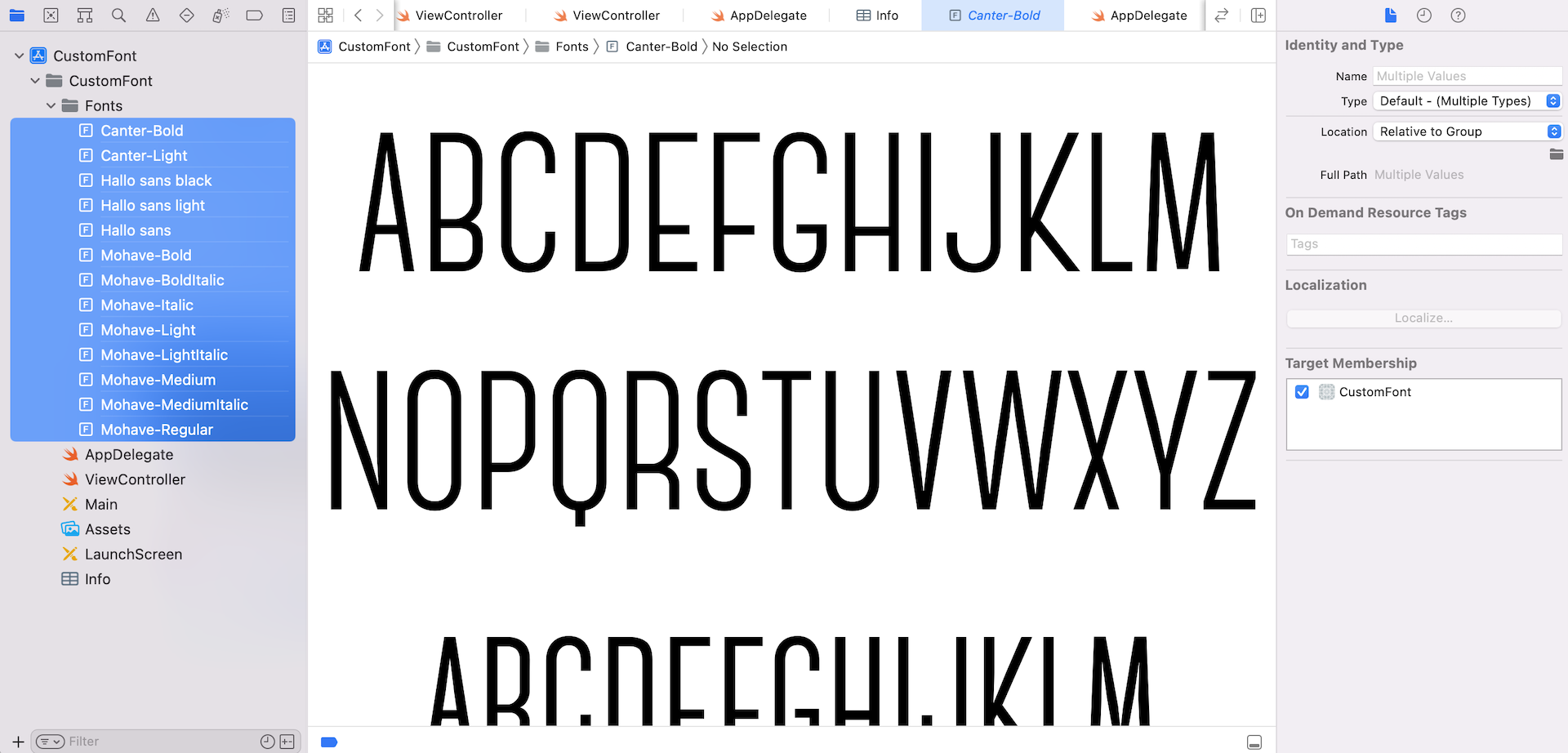 Figure 16.3. Previewing the fonts in Xcode
