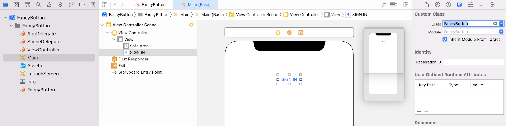 Figure 36.9. Set the custom class to FancyButton