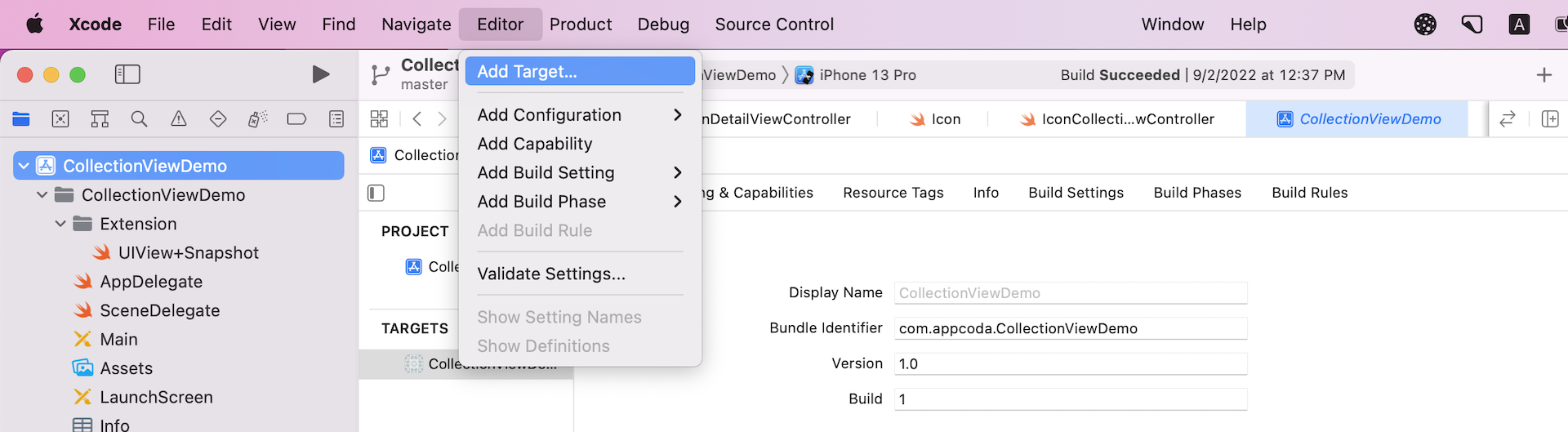 Figure 35.5. Adding a new target for the existing project