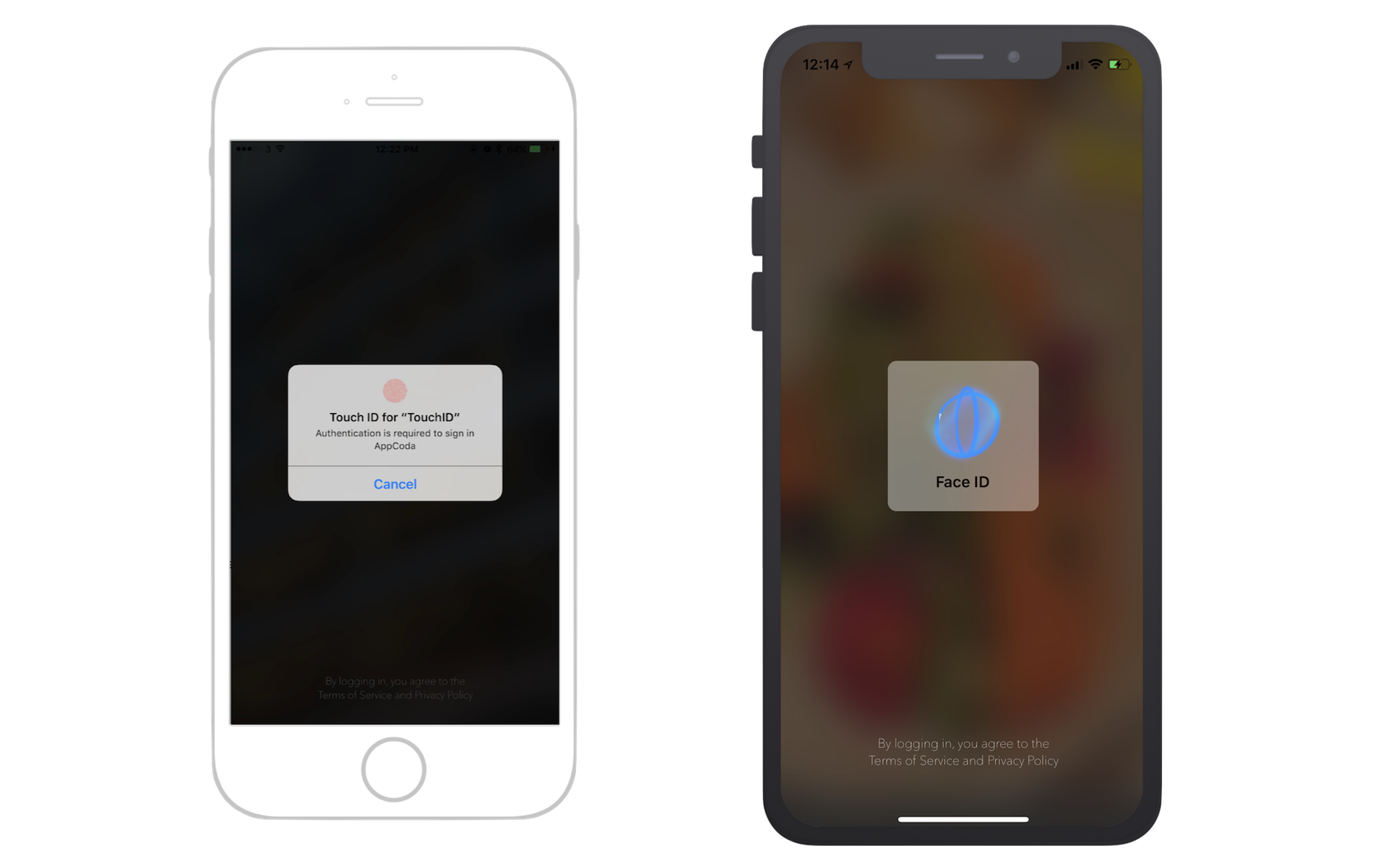 Figure 28.4. Authenticating with Touch ID or Face ID