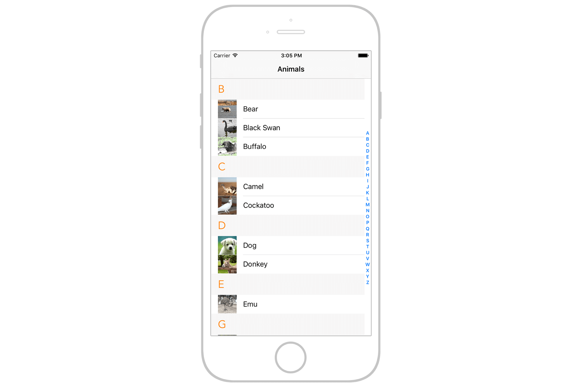 Figure 2.1. Demo app