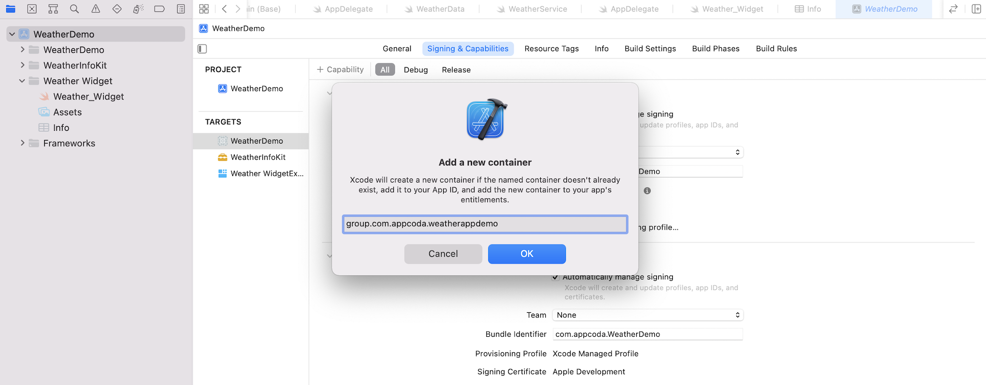 Figure 21.17. Adding a new container for App Groups